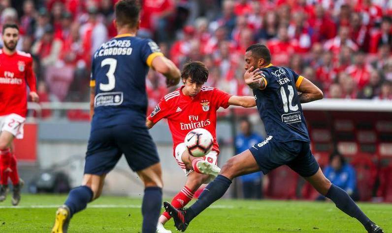 包含今晚体能课后，本菲卡造点机会备战欧联，目标明确，团队化学反应显著的词条